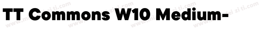 TT Commons W10 Medium字体转换